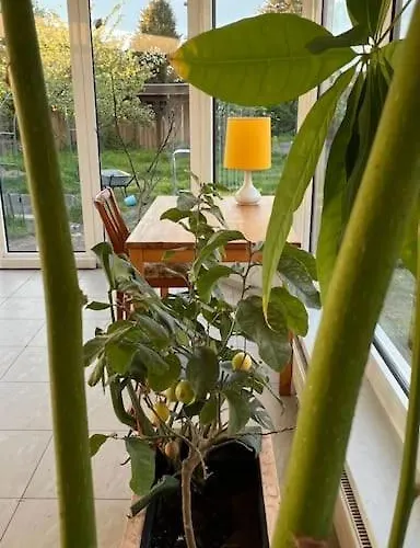 Mit Seeblick Templin